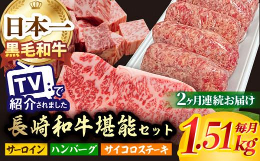 【全2回】 サーロイン サイコロステーキ ハンバーグ 総量3kg以上 セット 長崎和牛 [NA65]