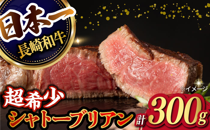 【極上の赤身肉】シャトーブリアン ステーキ 長崎和牛 計300g （150g×2枚）【肉のマルシン】 [FG08] 和牛 牛肉 赤身 ヒレ ステーキ 焼肉