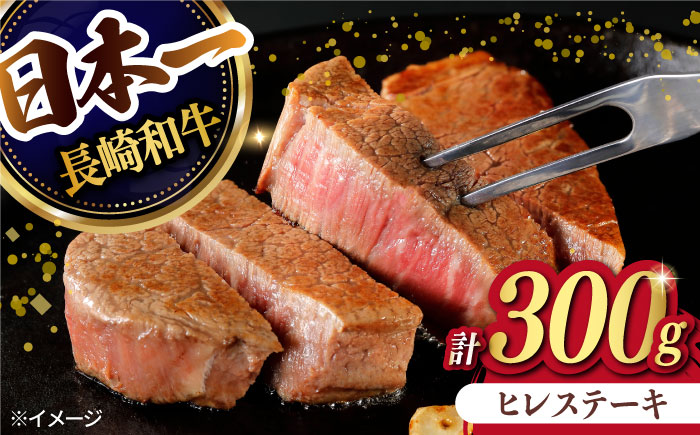 【日本一の赤身肉】 ヒレステーキ 長崎和牛 計300g （150g×2枚）【肉のマルシン】 [FG09] 肉 牛肉 赤身 ヒレ ステーキ 焼肉